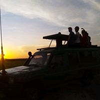 mjusi.safaris