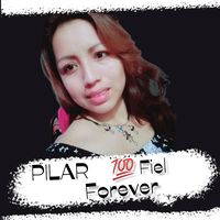 pilar.fiel