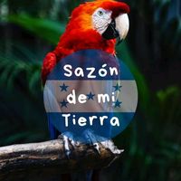 sazondemi_tierra