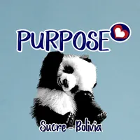 original sound - purposebolivia