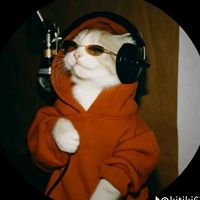 sonido original