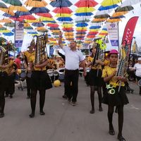 prof_alejandro_araya