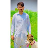 shahenhunting