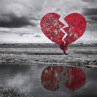 adana...........0101