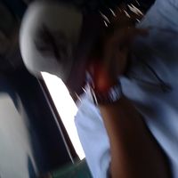 josue.mt28