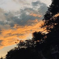 musictyfg