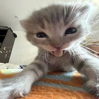 БОЛЕЮ ОЧЕНЬ x HOODTRAP