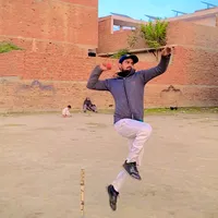 original sound - cricket8908609