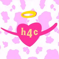 hoesforclothes.v2