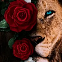 original sound - marilia.vtksd