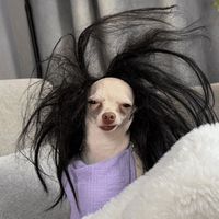 FOLLOW IMDEVINCARLSON FOR CLEAR SKIN