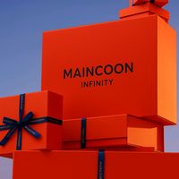 maincooninfinity