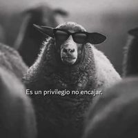 vall3luis