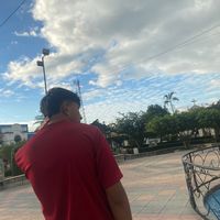 bxris.zy