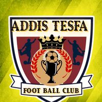 addis.tesfa.f.c