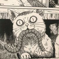 .meeowi