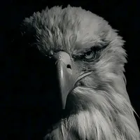 original sound - styll025