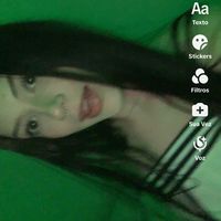 bellottofiel
