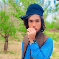 salman.baduzai