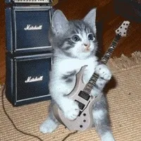 original sound - this.banger