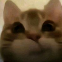 myfavspammzaccount