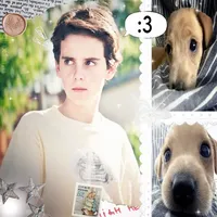 original sound - misf1ts_