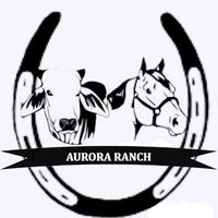 aurora.ranch