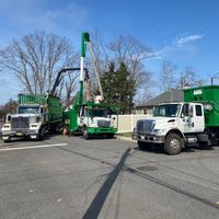 andersons_tree_service