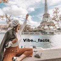 vibe.._facts_