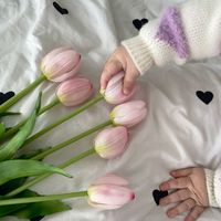mis.qwen