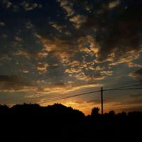 valery_2.52