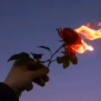 original sound - hakunamatata_44