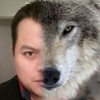 lobo_mexicano08