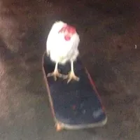 original sound - fraces1791._