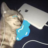 yunaakkii