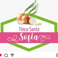 finca_santasofia
