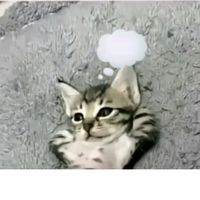 thafirsh