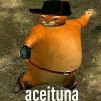 m0onxjnko