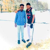 y7sir249