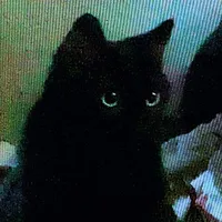 original sound - amahdyt