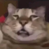 when its gone its gone