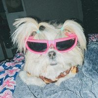 honeythetzu1