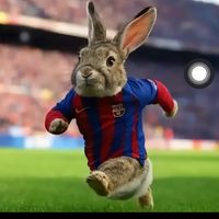 fernandochoc2
