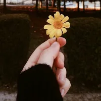 original sound - vales453