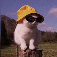 x._.meow._.x