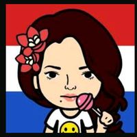 paraguayitajukysil