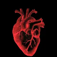 original sound - salsa_loverr