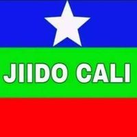 cabdulahi.xaji.ib