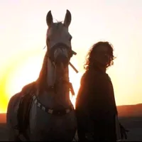 original sound - user1687225715938