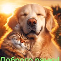 оригінальний звук
